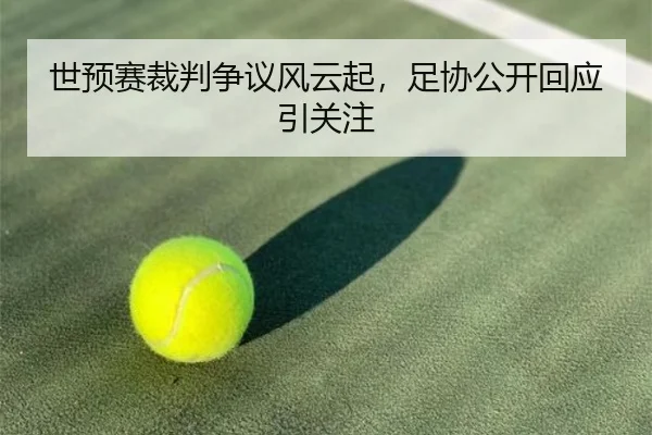 世预赛裁判争议风云起，足协公开回应引关注